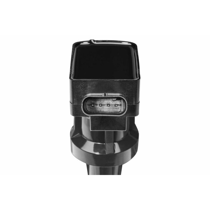 Ritė, uždegimas BorgWarner (BERU) ZSE262