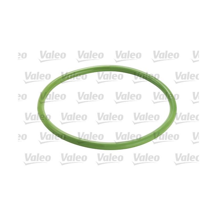 Kuro filtras VALEO 587935