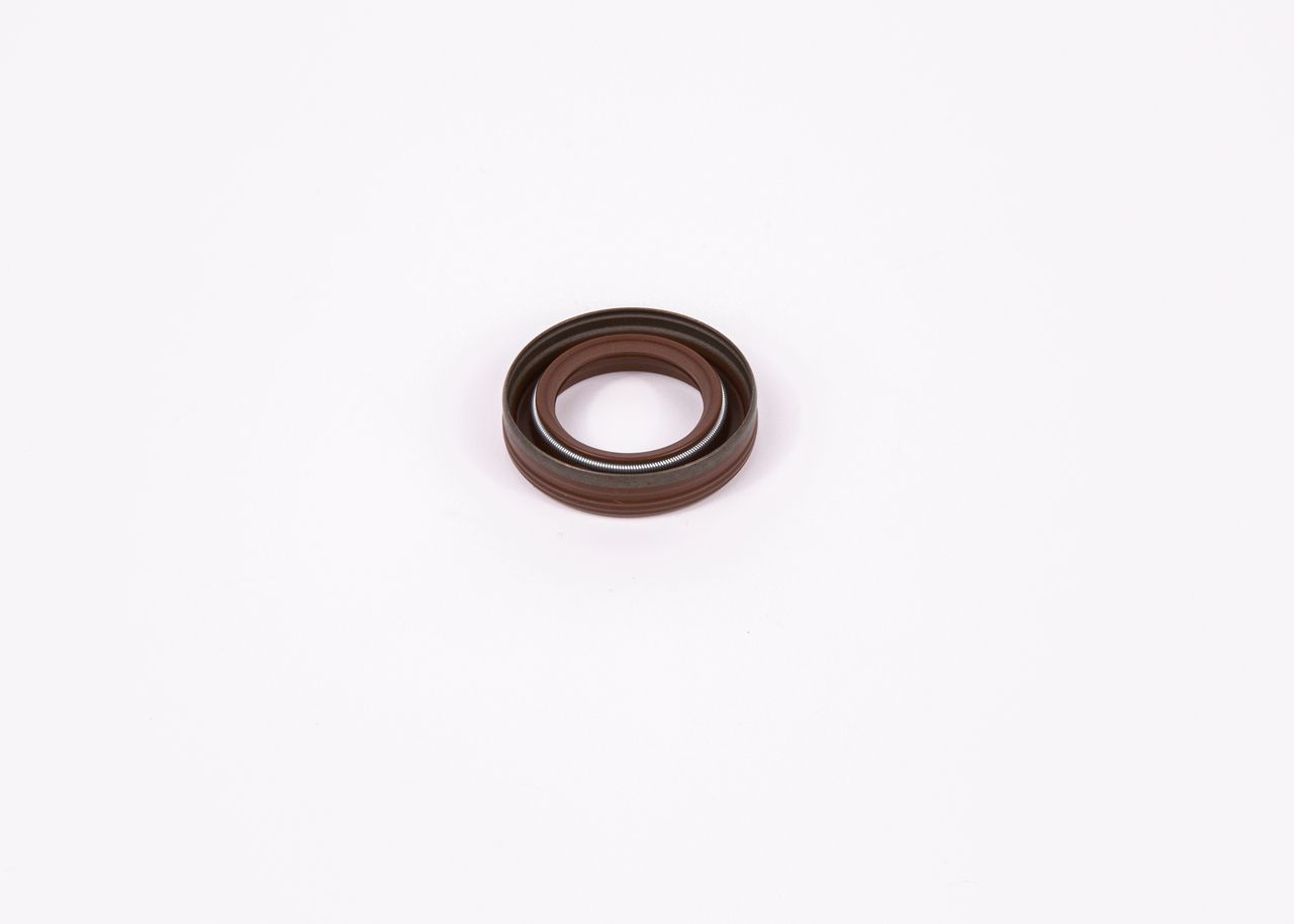 Tarpiklis BOSCH F 01M 100 984