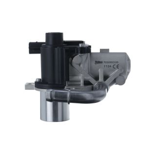 ERG vožtuvas VALEO 703205