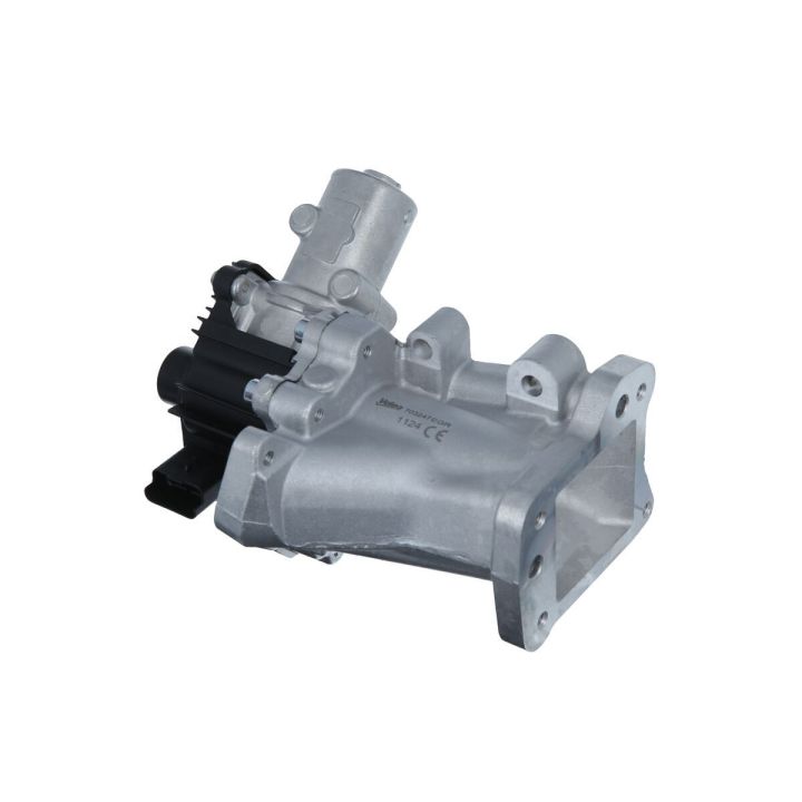 ERG vožtuvas VALEO 703247