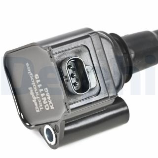 Ritė, uždegimas DELPHI GN11119-12B1