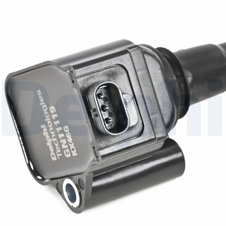 Ritė, uždegimas DELPHI GN11119-12B1