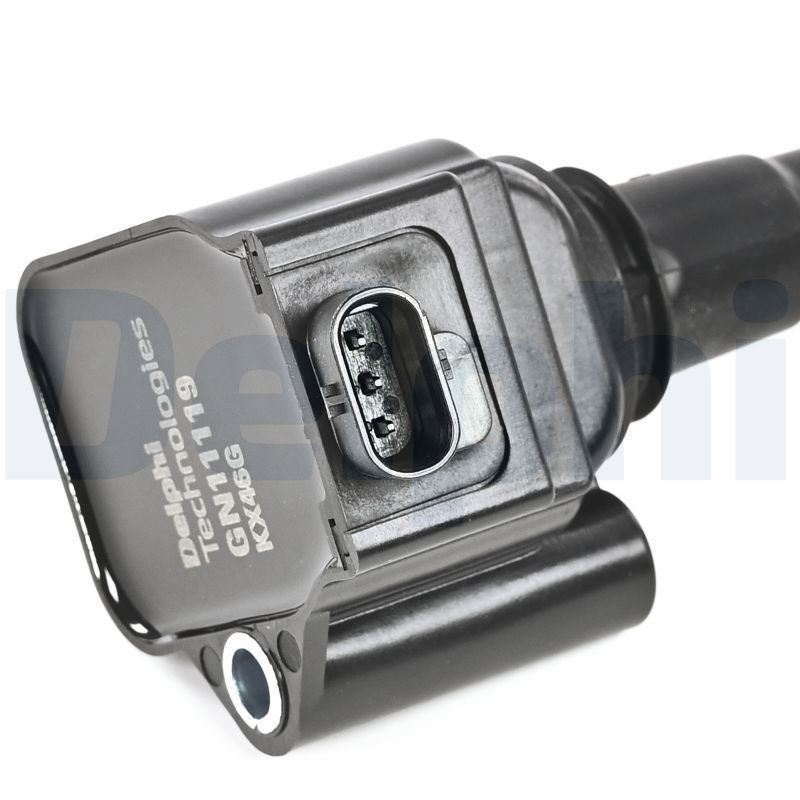 Ritė, uždegimas DELPHI GN11119-12B1