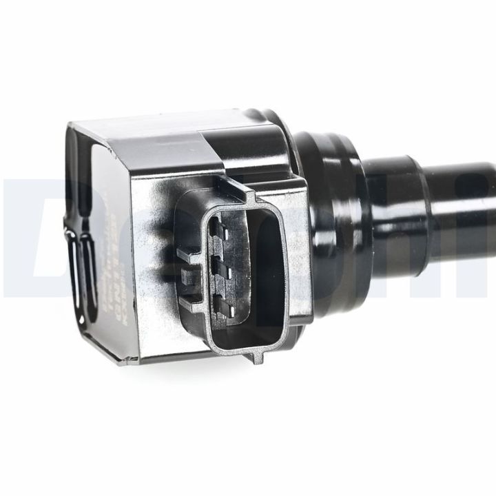 Ritė, uždegimas DELPHI GN11128-12B1