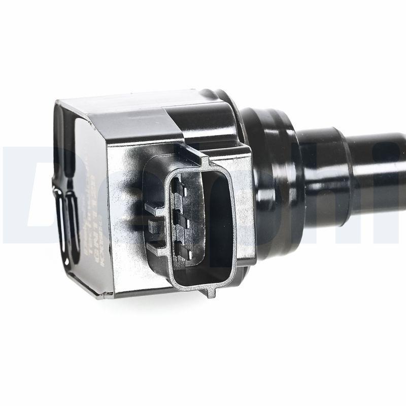 Ritė, uždegimas DELPHI GN11128-12B1