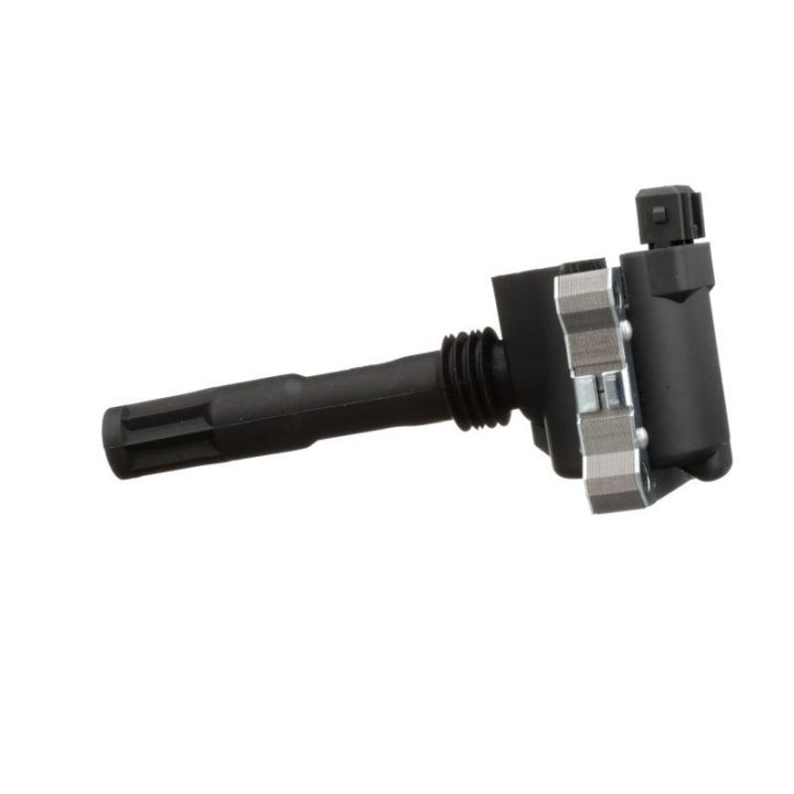 Ritė, uždegimas DELPHI GN10781-12B1