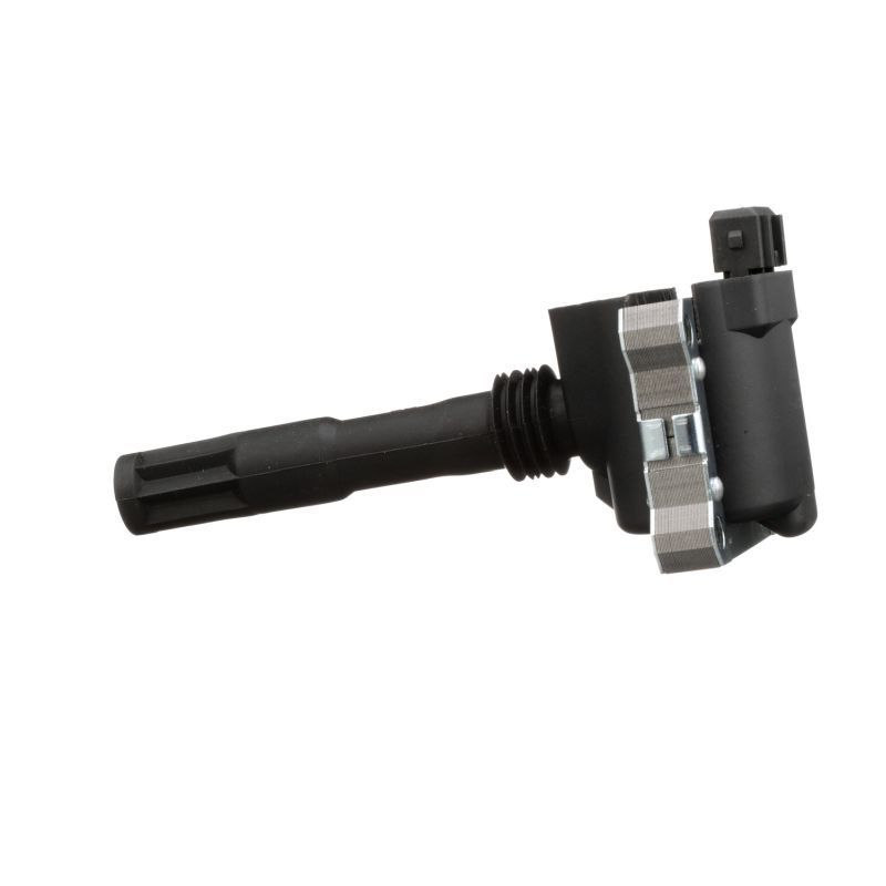 Ritė, uždegimas DELPHI GN10781-12B1