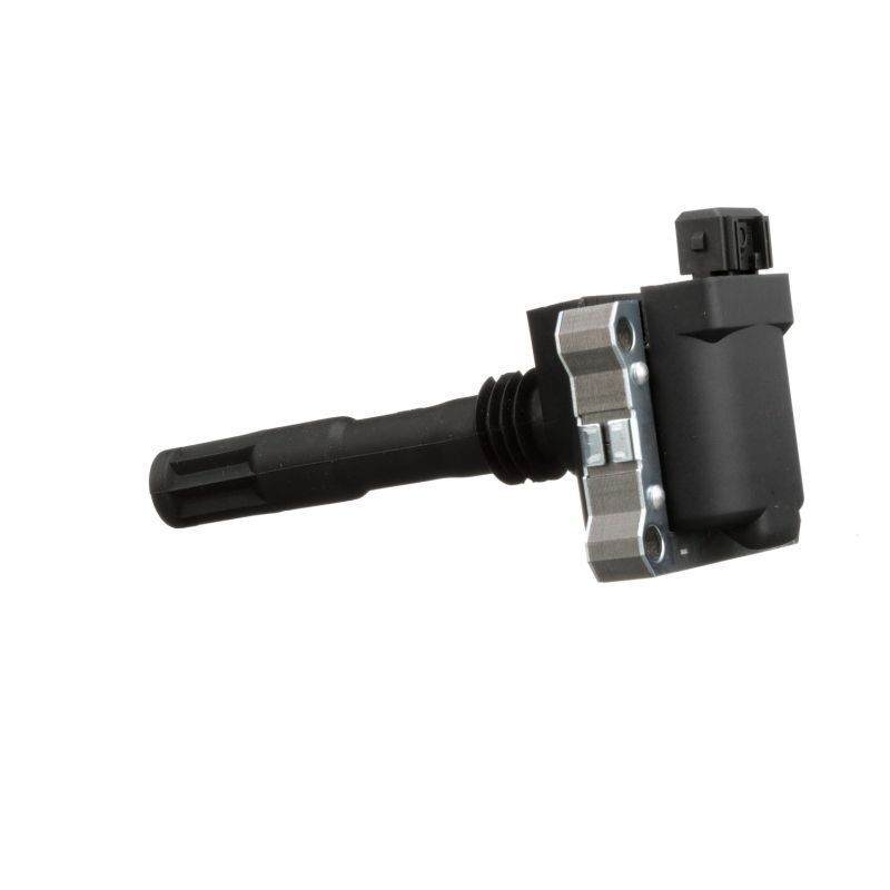 Ritė, uždegimas DELPHI GN10781-12B1