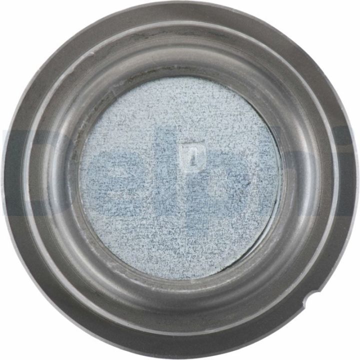 Šarnyras / girgždukas DELPHI TC984