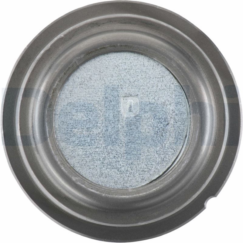 Šarnyras / girgždukas DELPHI TC984