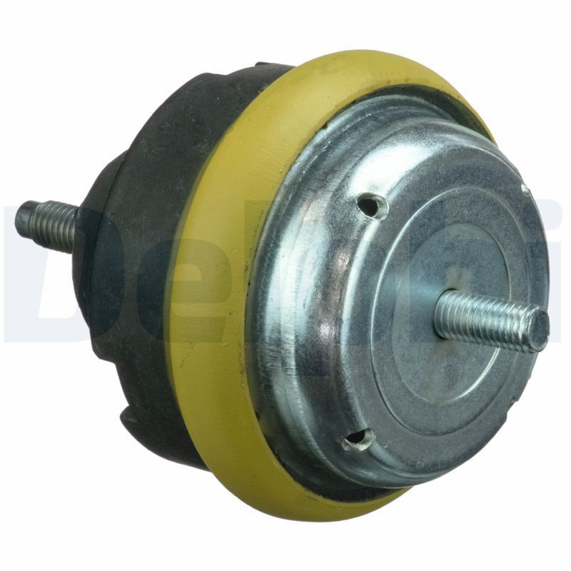 Variklio montavimas DELPHI TEM113