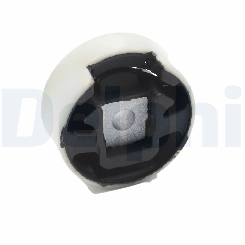 Variklio montavimas DELPHI TEM122
