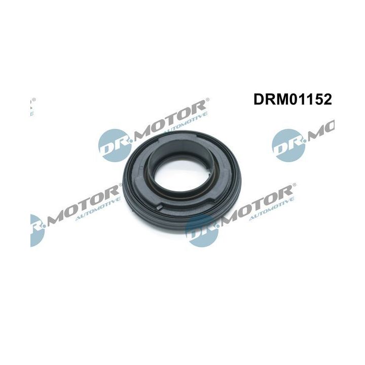 Veleno sandariklis, alkūninis velenas Dr.Motor Automotive DRM01152