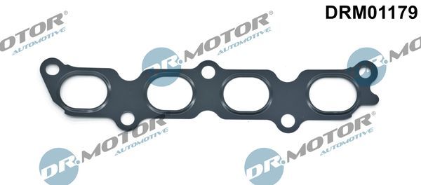 Tarpiklis, išleidimo kolektorius Dr.Motor Automotive DRM01179
