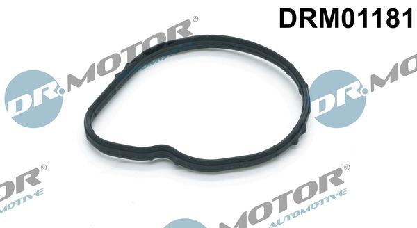 Tarpiklis, termostatas Dr.Motor Automotive DRM01181