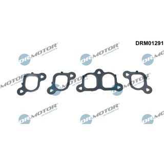 Tarpiklių rinkinys, įsiurbimo kolektorius Dr.Motor Automotive DRM01291