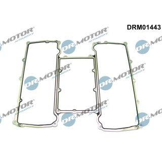 Tarpiklis, įsiurbimo kolektorius Dr.Motor Automotive DRM01443