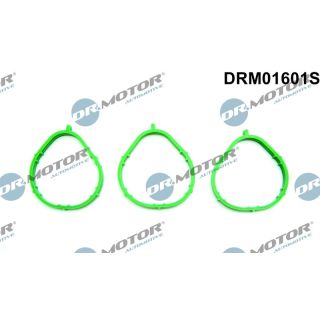 Tarpiklių rinkinys, įsiurbimo kolektorius Dr.Motor Automotive DRM01601S