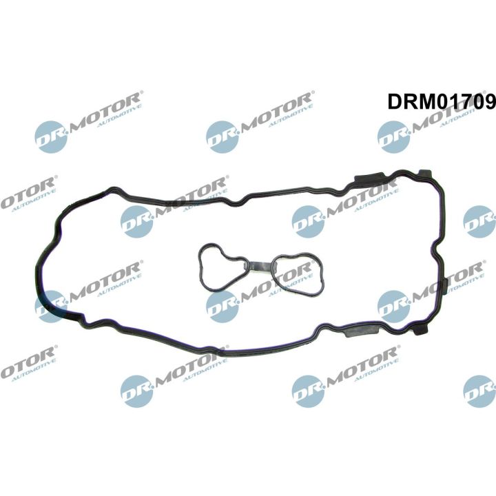 Tarpiklis, svirties dangtis Dr.Motor Automotive DRM01709