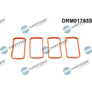 Tarpiklių rinkinys, įsiurbimo kolektorius Dr.Motor Automotive DRM01753S