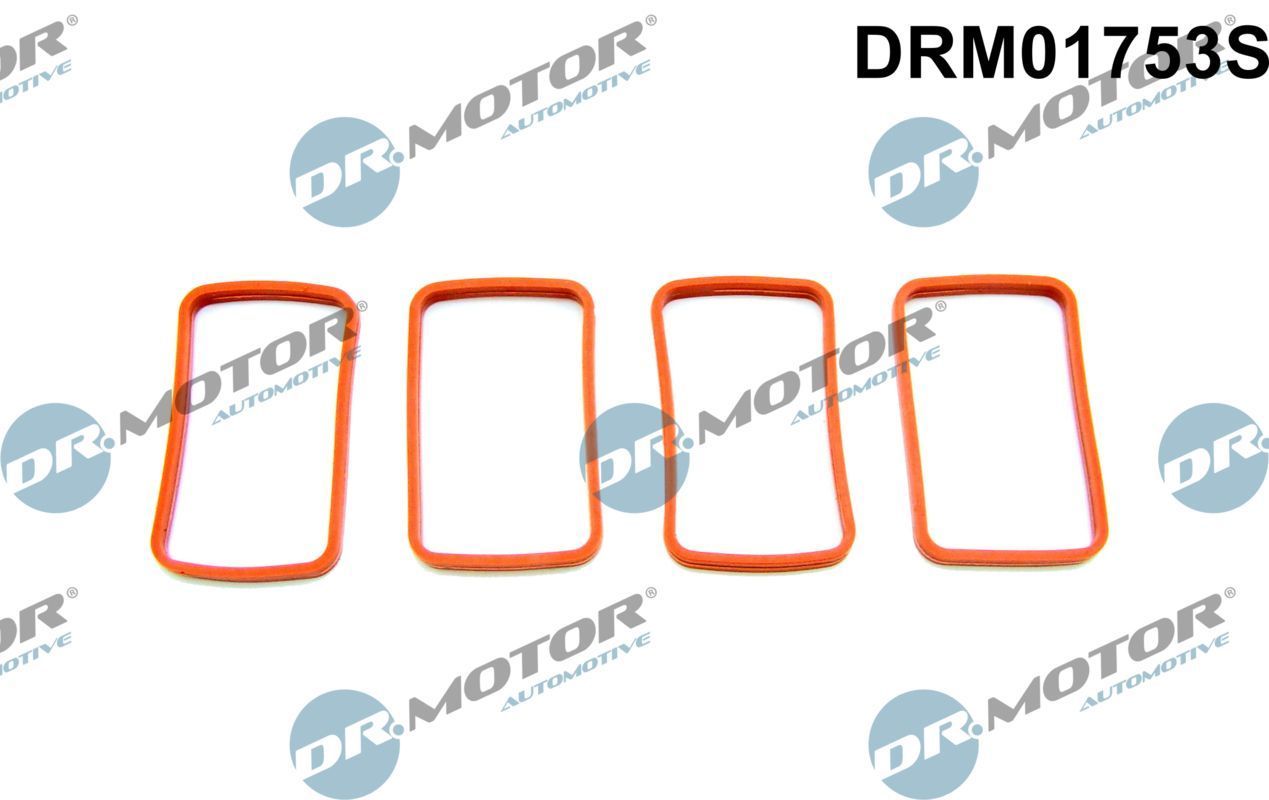 Tarpiklių rinkinys, įsiurbimo kolektorius Dr.Motor Automotive DRM01753S