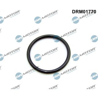 Tarpiklis, įsiurbimo kolektorius Dr.Motor Automotive DRM01770