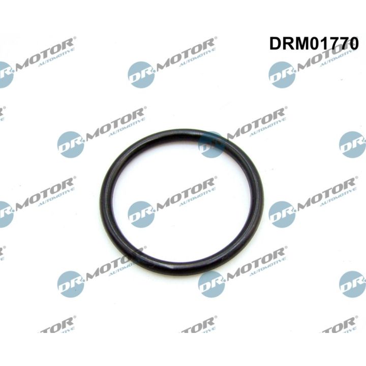 Tarpiklis, įsiurbimo kolektorius Dr.Motor Automotive DRM01770