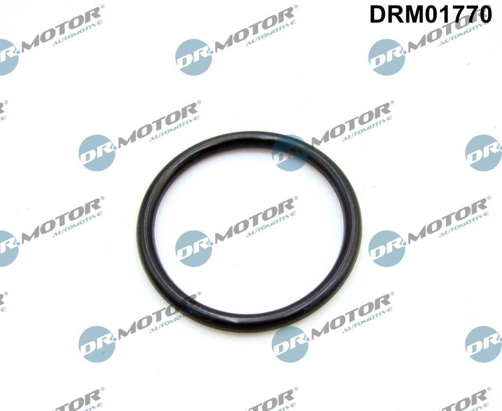 Tarpiklis, įsiurbimo kolektorius Dr.Motor Automotive DRM01770