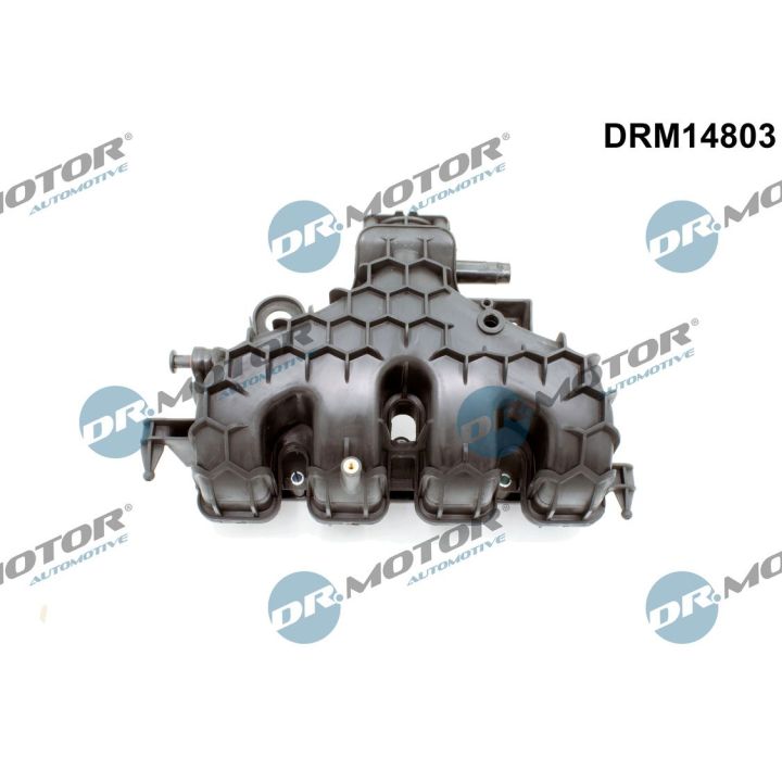 įsiurbimo kolektoriaus modulis Dr.Motor Automotive DRM14803