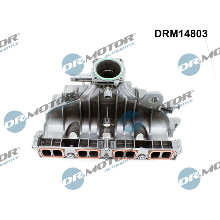 įsiurbimo kolektoriaus modulis Dr.Motor Automotive DRM14803