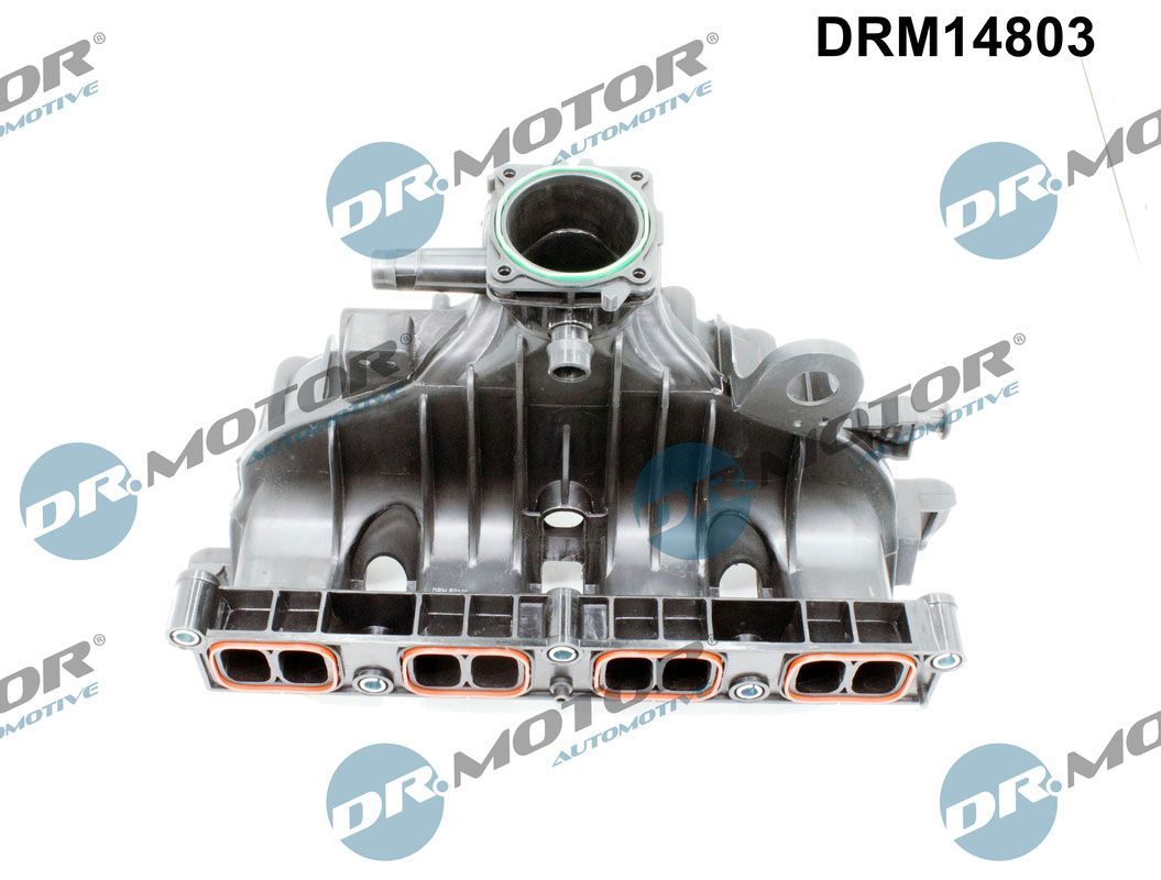 įsiurbimo kolektoriaus modulis Dr.Motor Automotive DRM14803