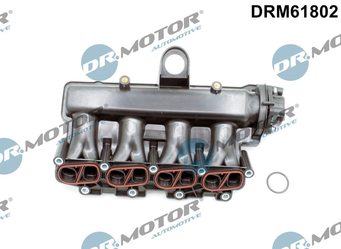 įsiurbimo kolektoriaus modulis Dr.Motor Automotive DRM61802