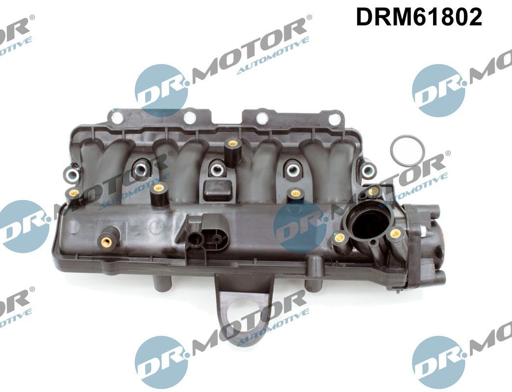 įsiurbimo kolektoriaus modulis Dr.Motor Automotive DRM61802