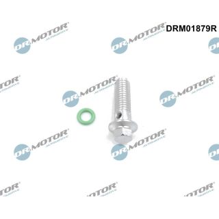 Remonto komplektas, alyvos siurblys Dr.Motor Automotive DRM01879R