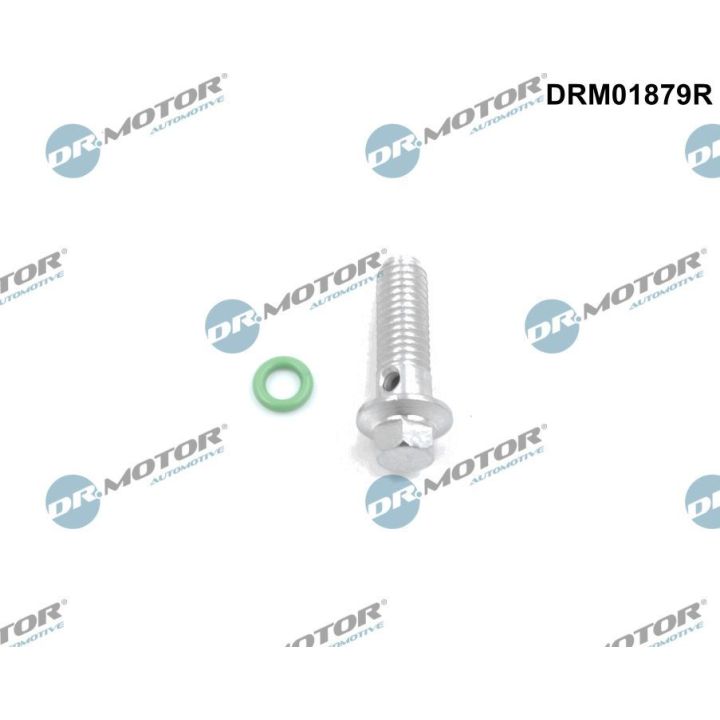 Remonto komplektas, alyvos siurblys Dr.Motor Automotive DRM01879R