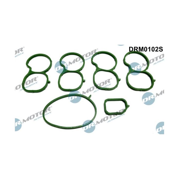Tarpiklių rinkinys, įsiurbimo kolektorius Dr.Motor Automotive DRM0102S