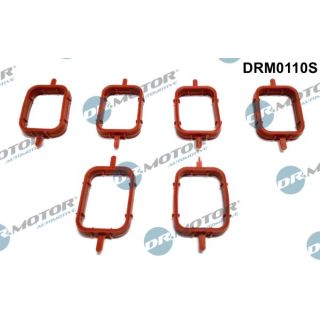 Tarpiklių rinkinys, įsiurbimo kolektorius Dr.Motor Automotive DRM0110S