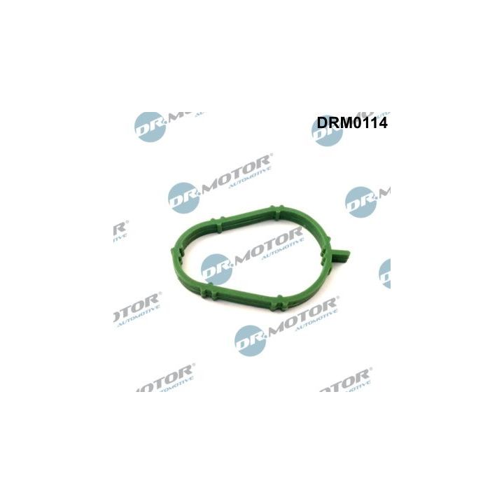 Tarpiklis, įsiurbimo kolektorius Dr.Motor Automotive DRM0114