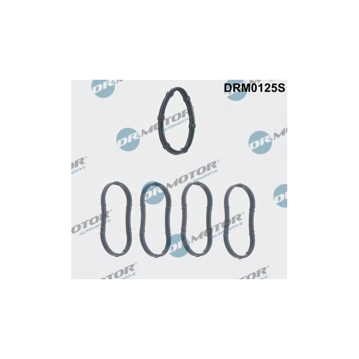 Tarpiklių rinkinys, įsiurbimo kolektorius Dr.Motor Automotive DRM0125S