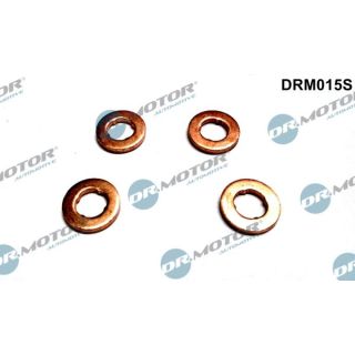 šiluminis ekranas, įpurškimo sistema Dr.Motor Automotive DRM015S