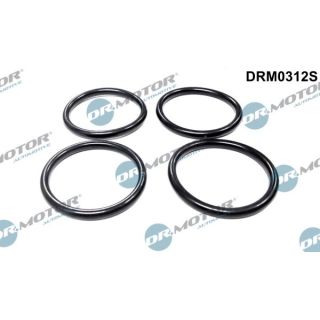 Tarpiklių rinkinys, įsiurbimo kolektorius Dr.Motor Automotive DRM0312S