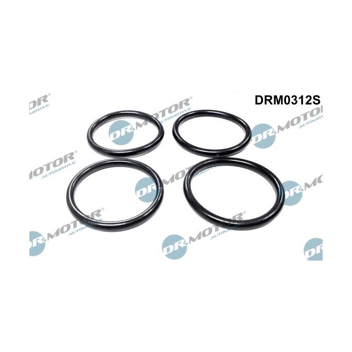 Tarpiklių rinkinys, įsiurbimo kolektorius Dr.Motor Automotive DRM0312S