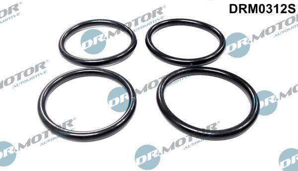 Tarpiklių rinkinys, įsiurbimo kolektorius Dr.Motor Automotive DRM0312S