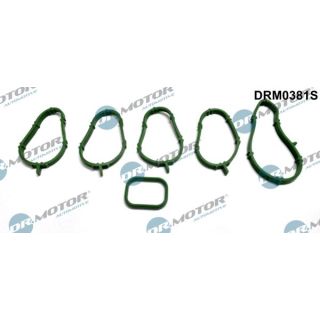 Tarpiklių rinkinys, įsiurbimo kolektorius Dr.Motor Automotive DRM0381S