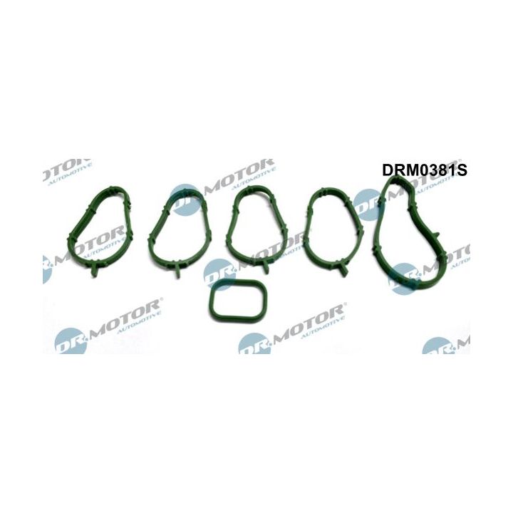 Tarpiklių rinkinys, įsiurbimo kolektorius Dr.Motor Automotive DRM0381S