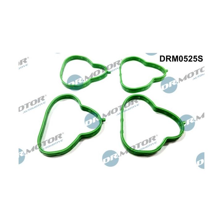 Tarpiklių rinkinys, įsiurbimo kolektorius Dr.Motor Automotive DRM0525S