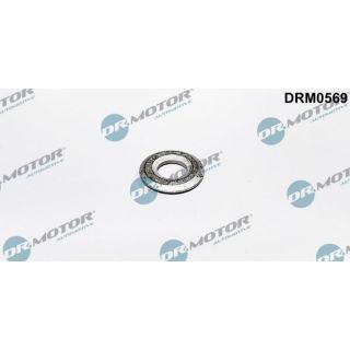 šiluminis ekranas, įpurškimo sistema Dr.Motor Automotive DRM0569