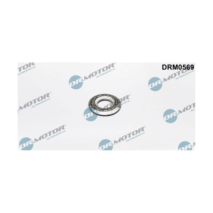 šiluminis ekranas, įpurškimo sistema Dr.Motor Automotive DRM0569