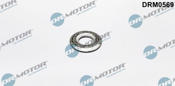 šiluminis ekranas, įpurškimo sistema Dr.Motor Automotive DRM0569